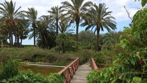 A wooden pathway leading through a lush garden with palm trees and dense foliage. - Sevenmaze Charming House (Bari)