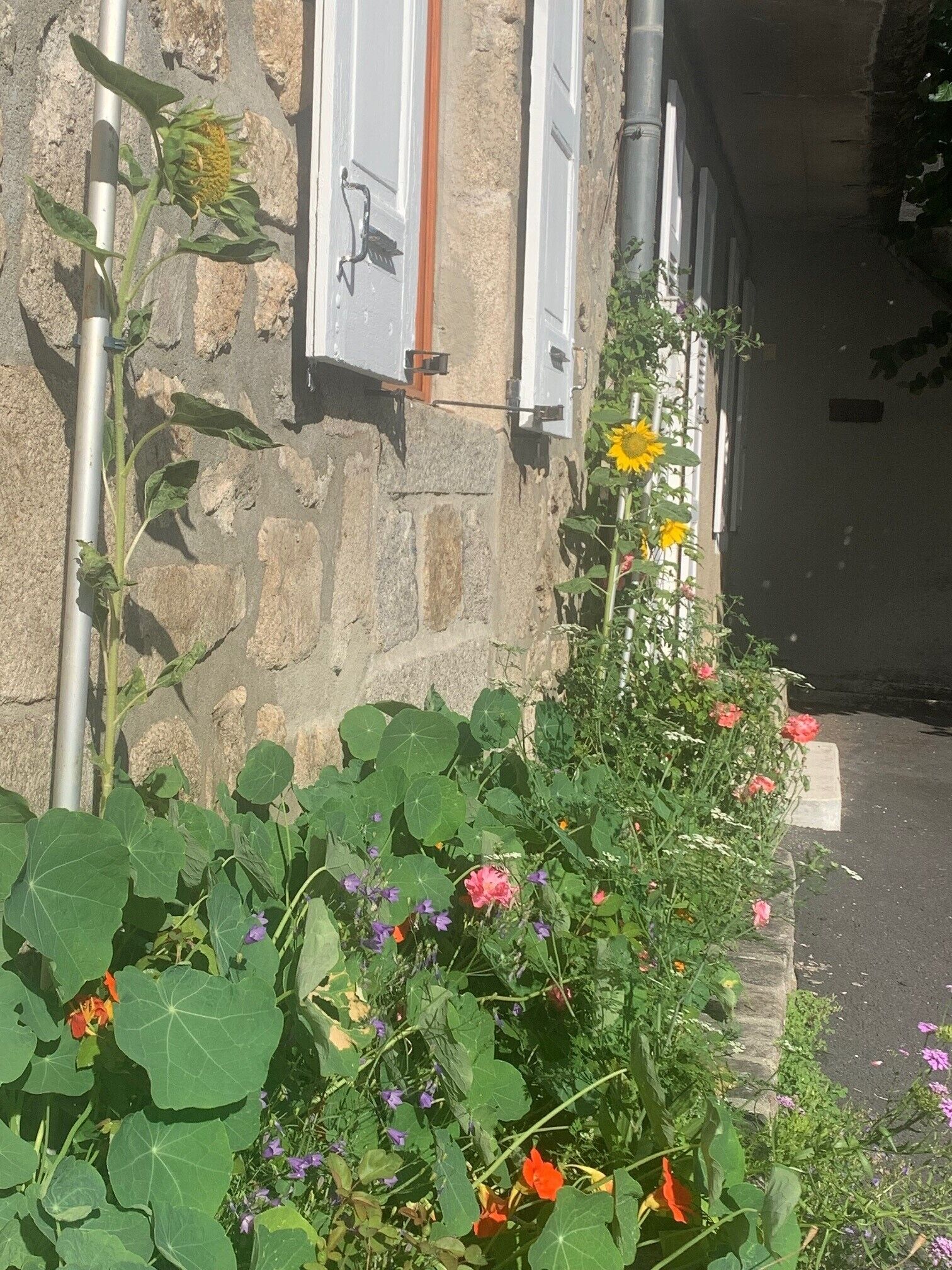 superior apartment | 1 bedroom, individually decorated, individually furnished, desk