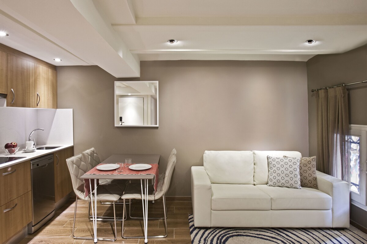 Barcelona Apartment mila