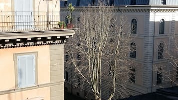 Vista desde la propiedad