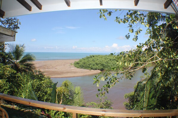 Vista de um rio com praia e vegetação densa.