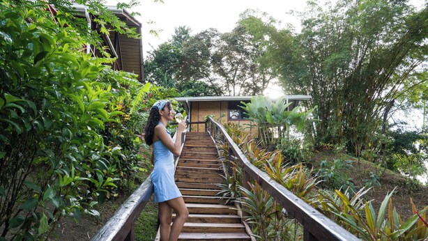 A wooden staircase leading to a building surrounded by lush greenery. - Pirate Cove (Drake Bay)
