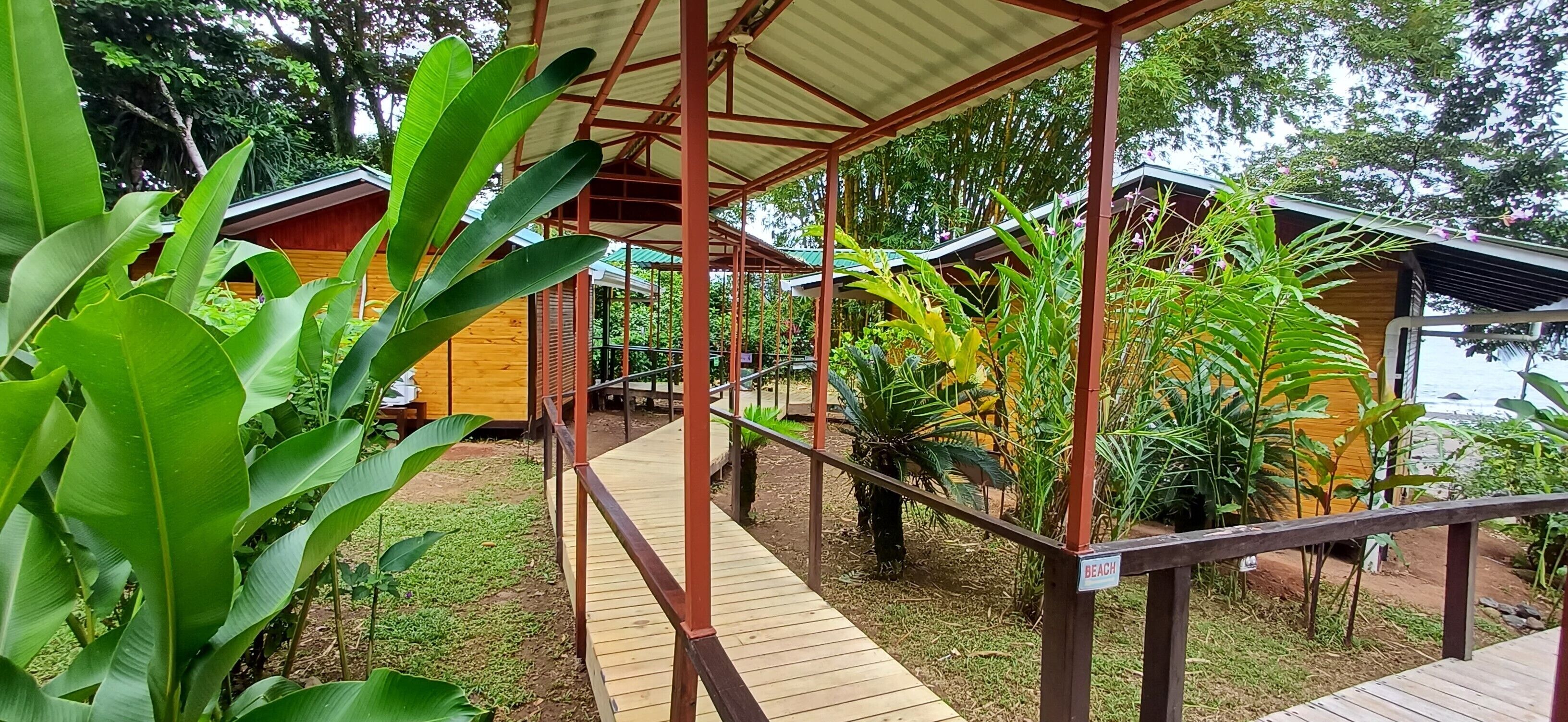 Bungalow, Multiple Beds, Ocean View | 1 bedroom, in-room safe, free WiFi, bed sheets