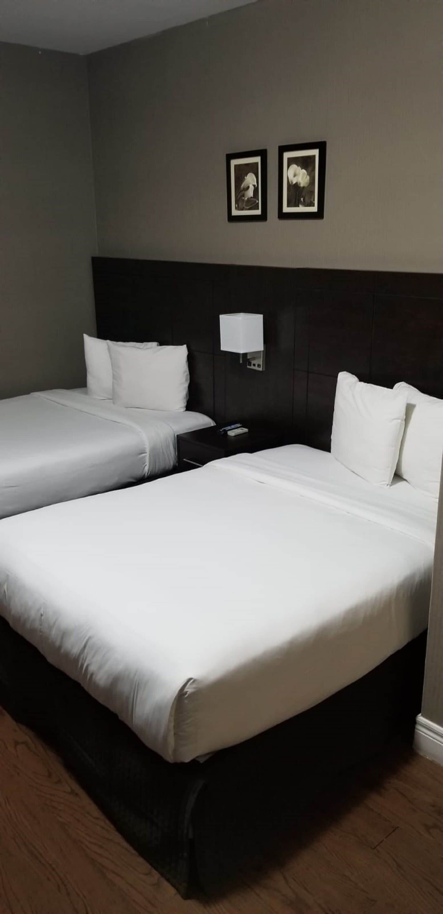 Photo - NU Hotel Toronto Airport