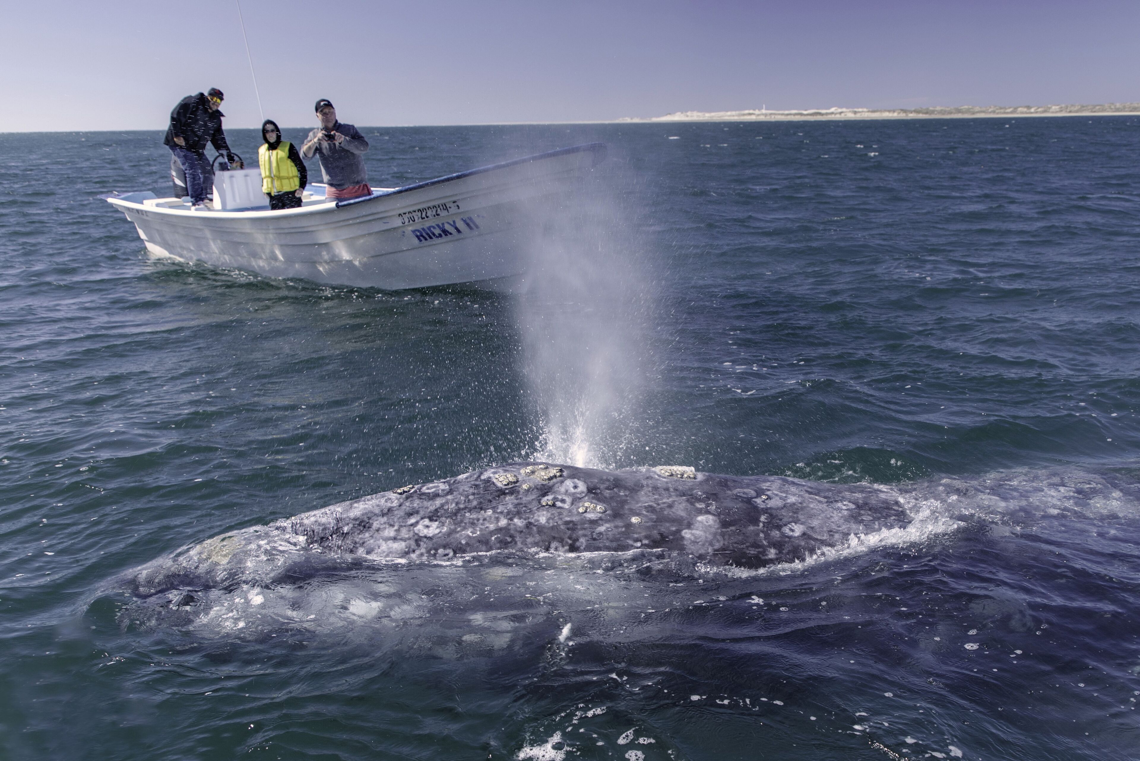 Foto - Hotel Posada Luna Sol