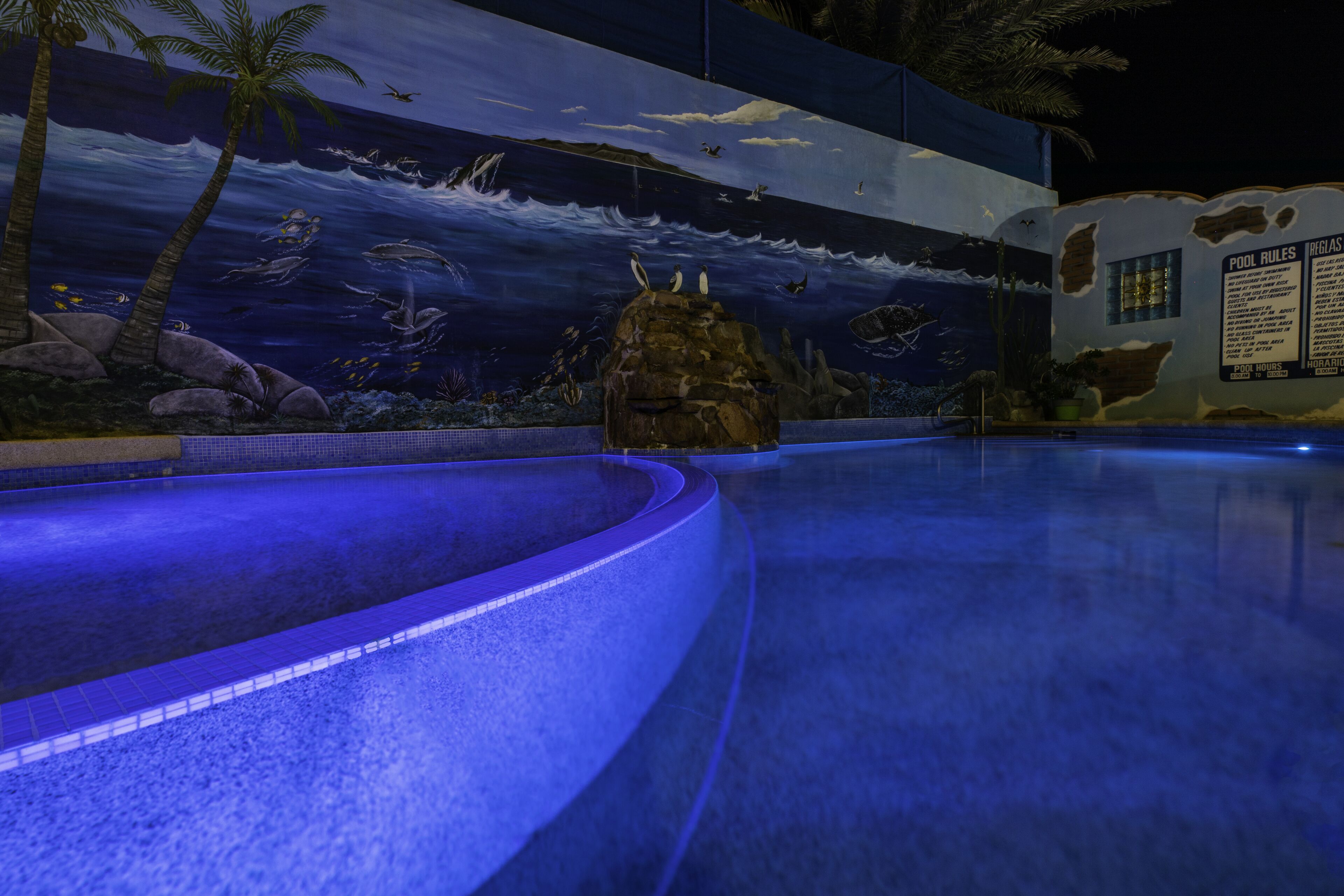 A swimming pool with a mural of ocean life and palm trees.