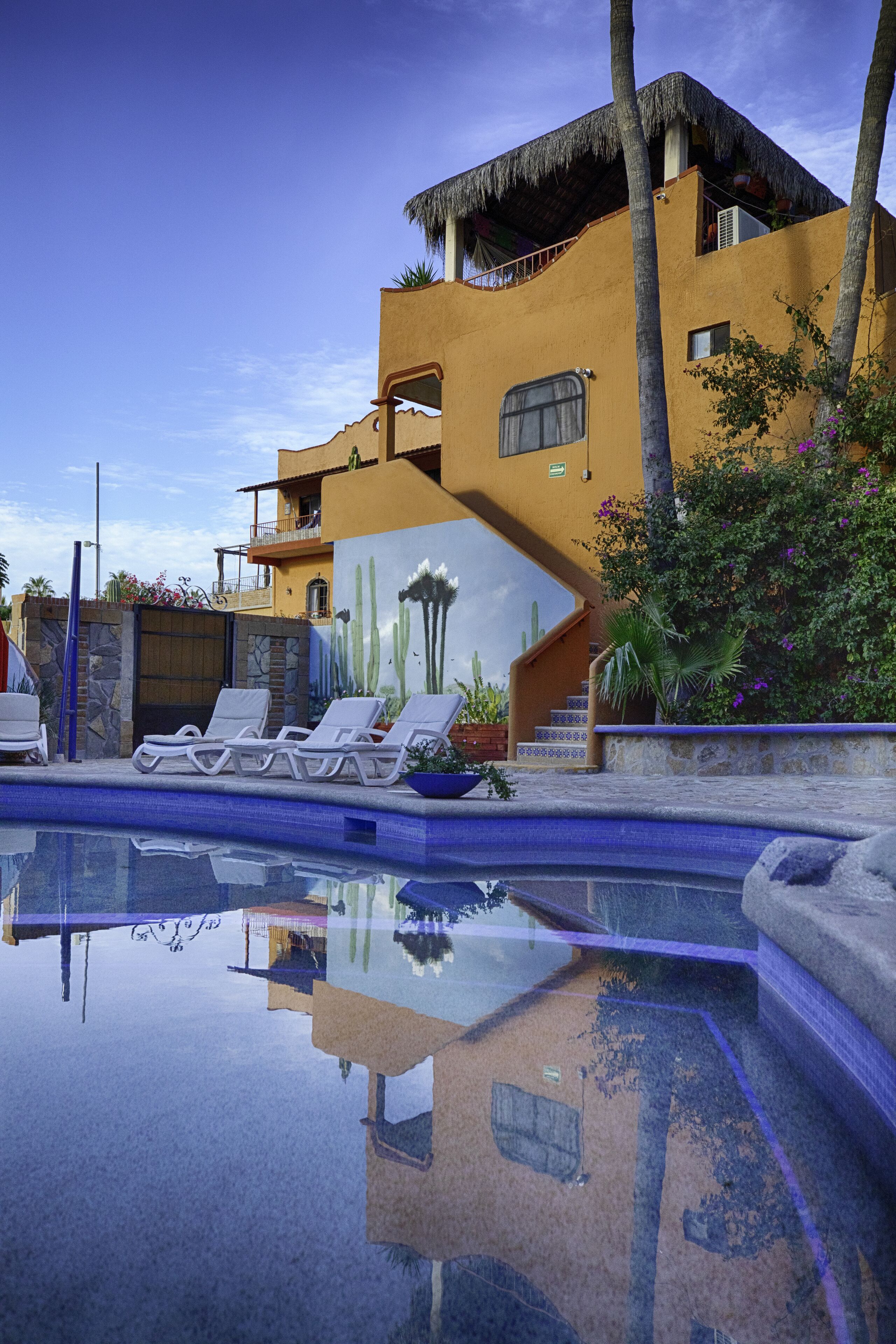 Utendørsbasseng og solsenger