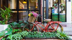 Un vélo rouge, muni d’un panier et décoré de fleurs, est garé devant un immeuble doté de grandes fenêtres et d’une porte sur laquelle est apposée une enseigne.