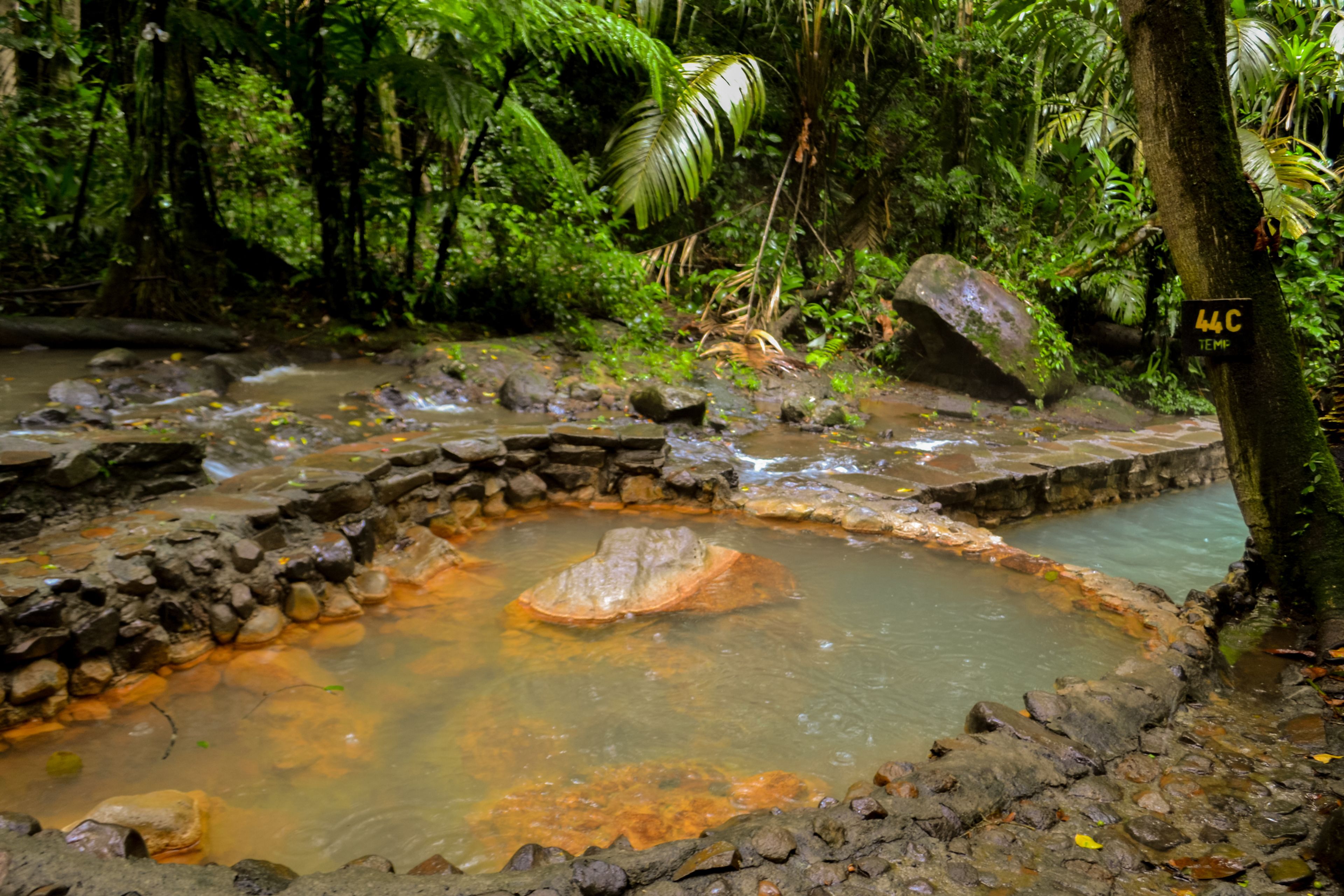 A natural hot spring surrounded by lush greenery and rocks.