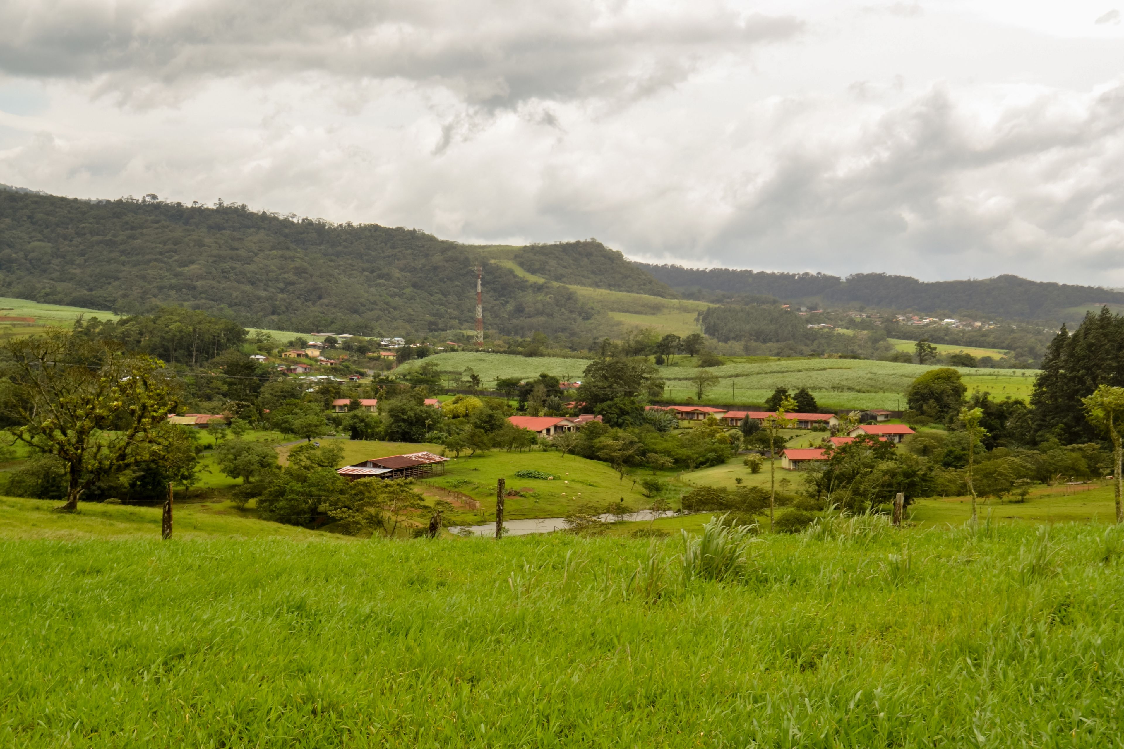 A rural landscape with rolling hills, scattered houses with red roofs, and a small body of water.