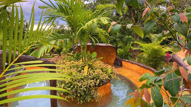 A lush indoor garden with a water feature, surrounded by various plants and trees. - Hotel Heliconias Nature Inn & Hot Springs (Peñas Blancas)