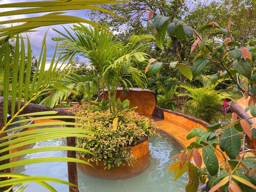 Hotel Heliconias Nature Inn & Hot Springs