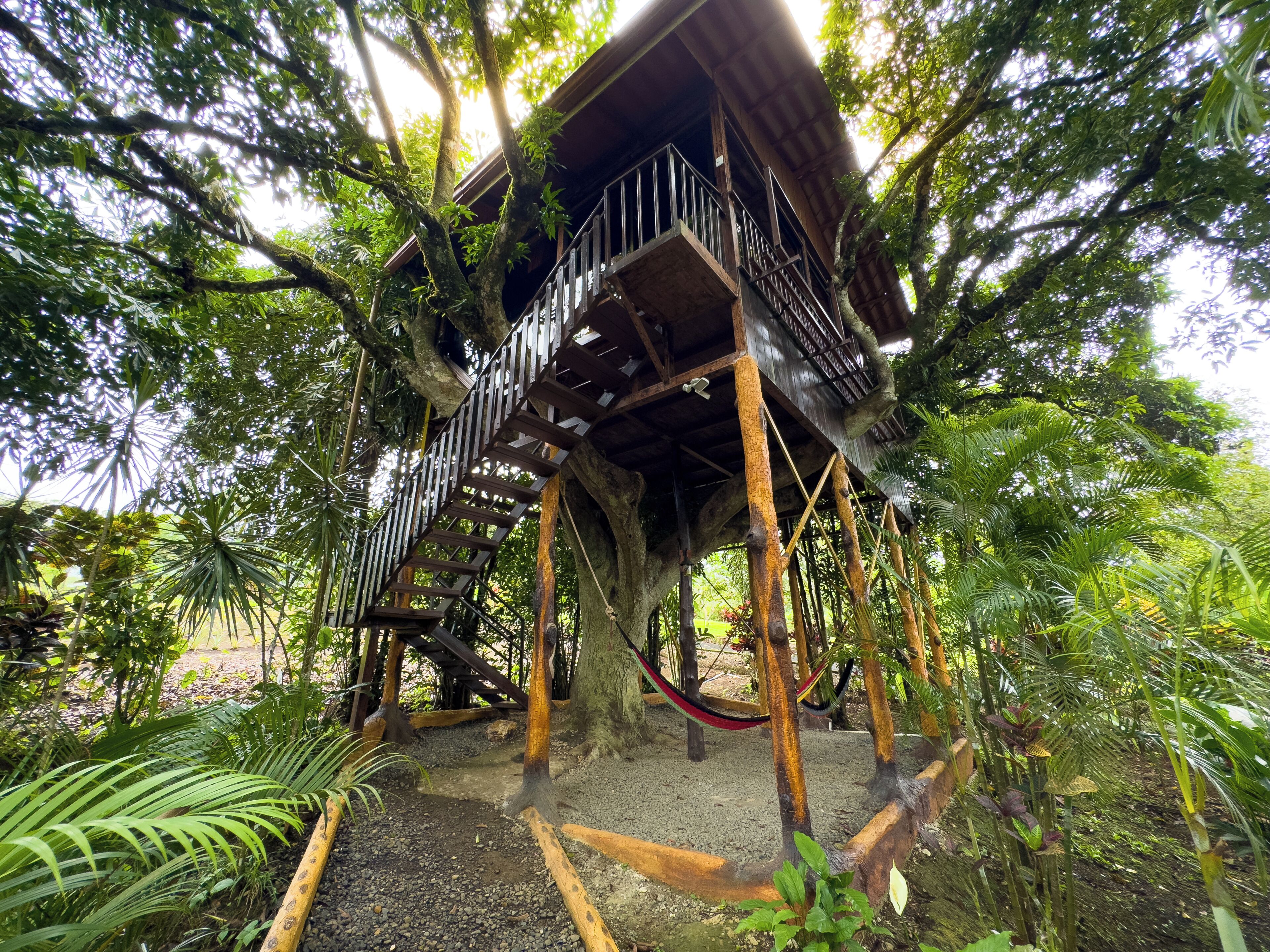 Een boomhut met een houten trap en een platform, omgeven door weelderige begroeiing.