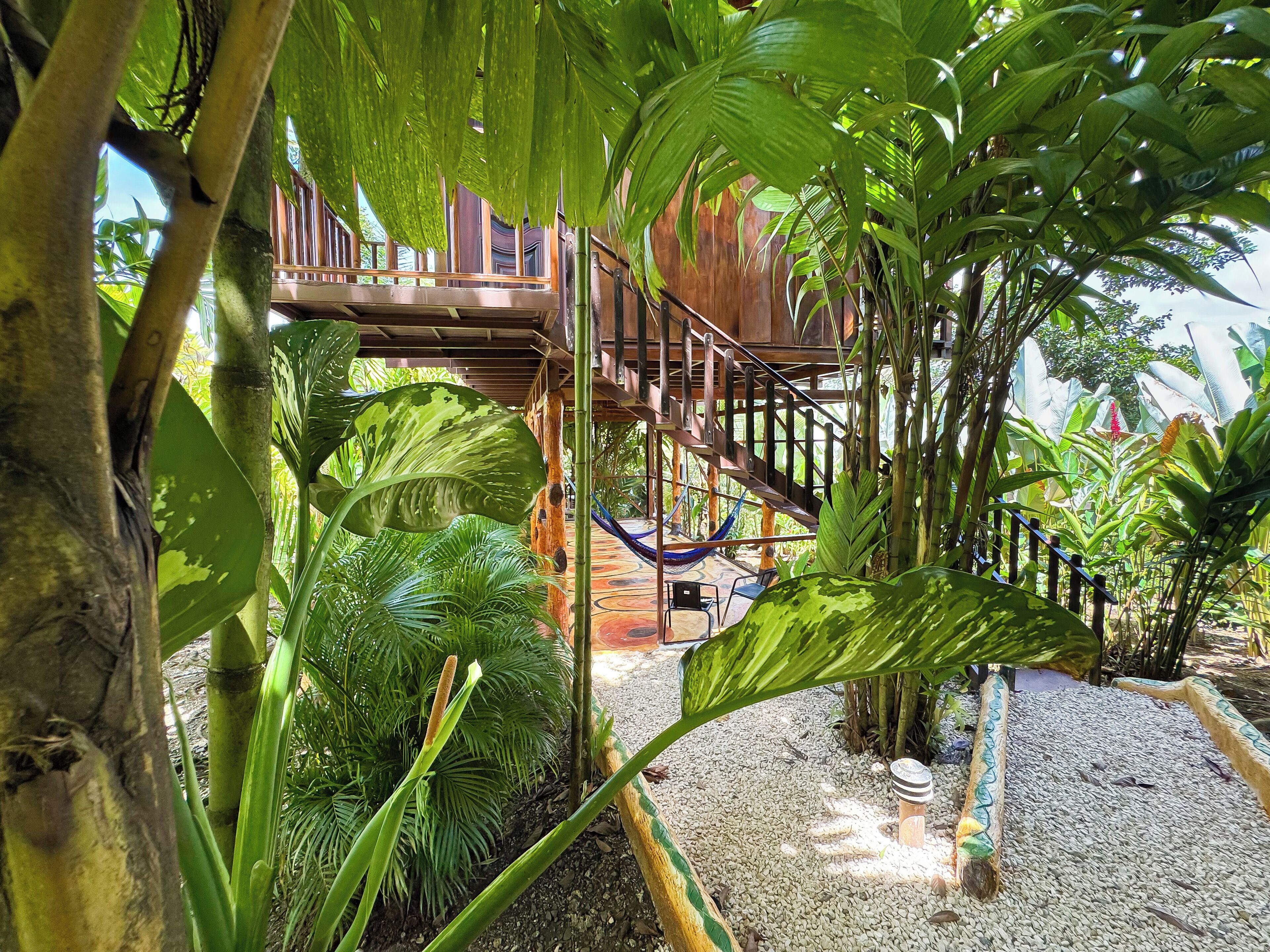A wooden staircase leading to a wooden deck surrounded by lush tropical plants.