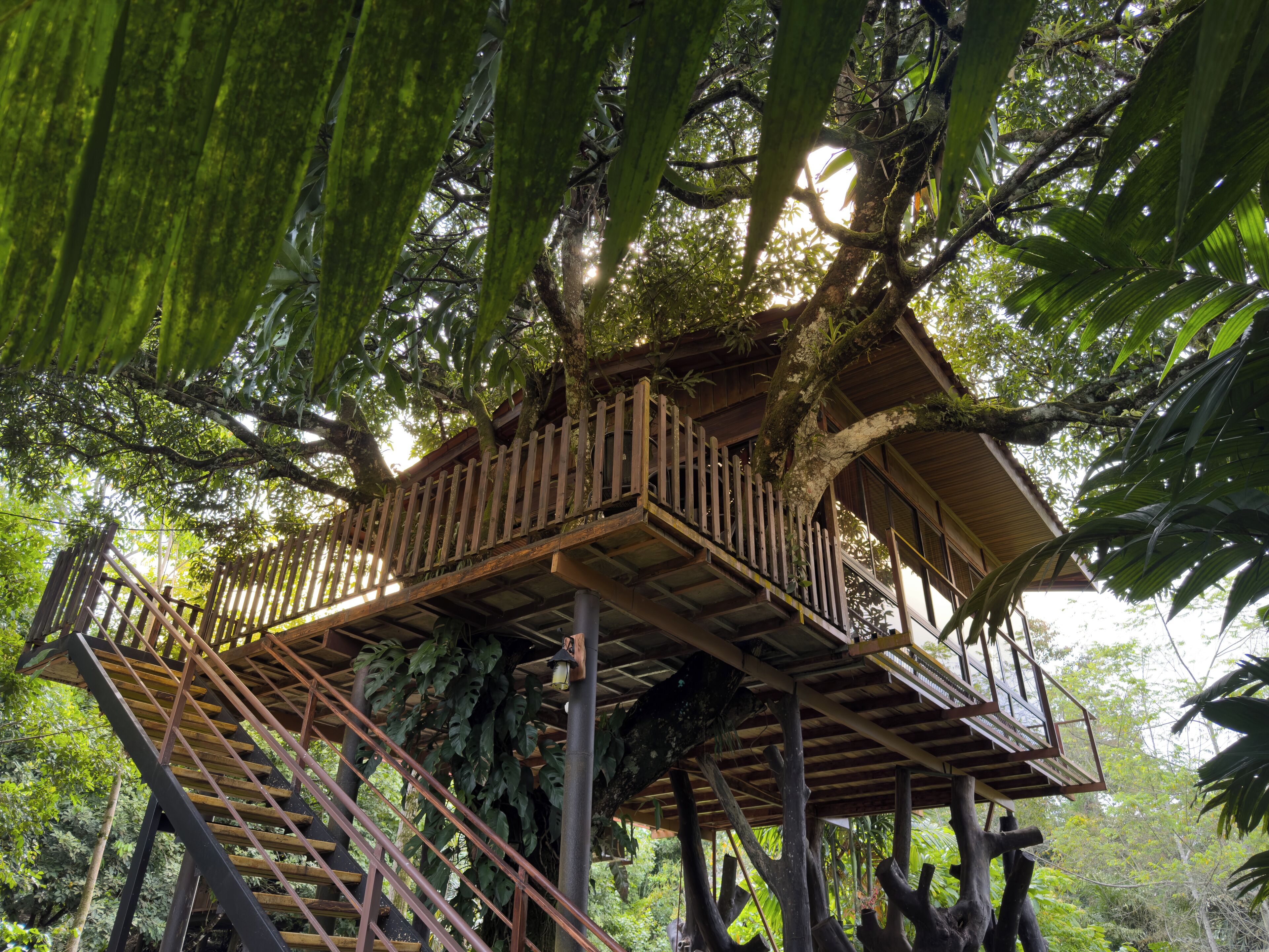 Deluxe Treehouse | Wi-Fi gratuit, draps fournis, accès pour personnes à mobilité réduite