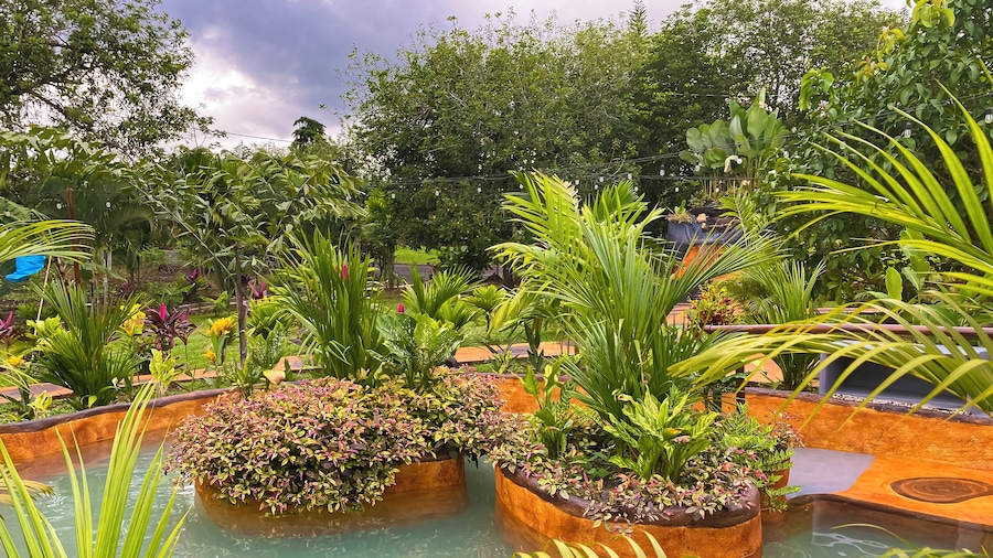 Hotel Heliconias Nature Inn & Hot Springs