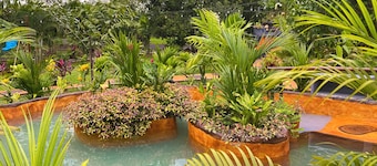 Hotel Heliconias Nature Inn & Hot Springs