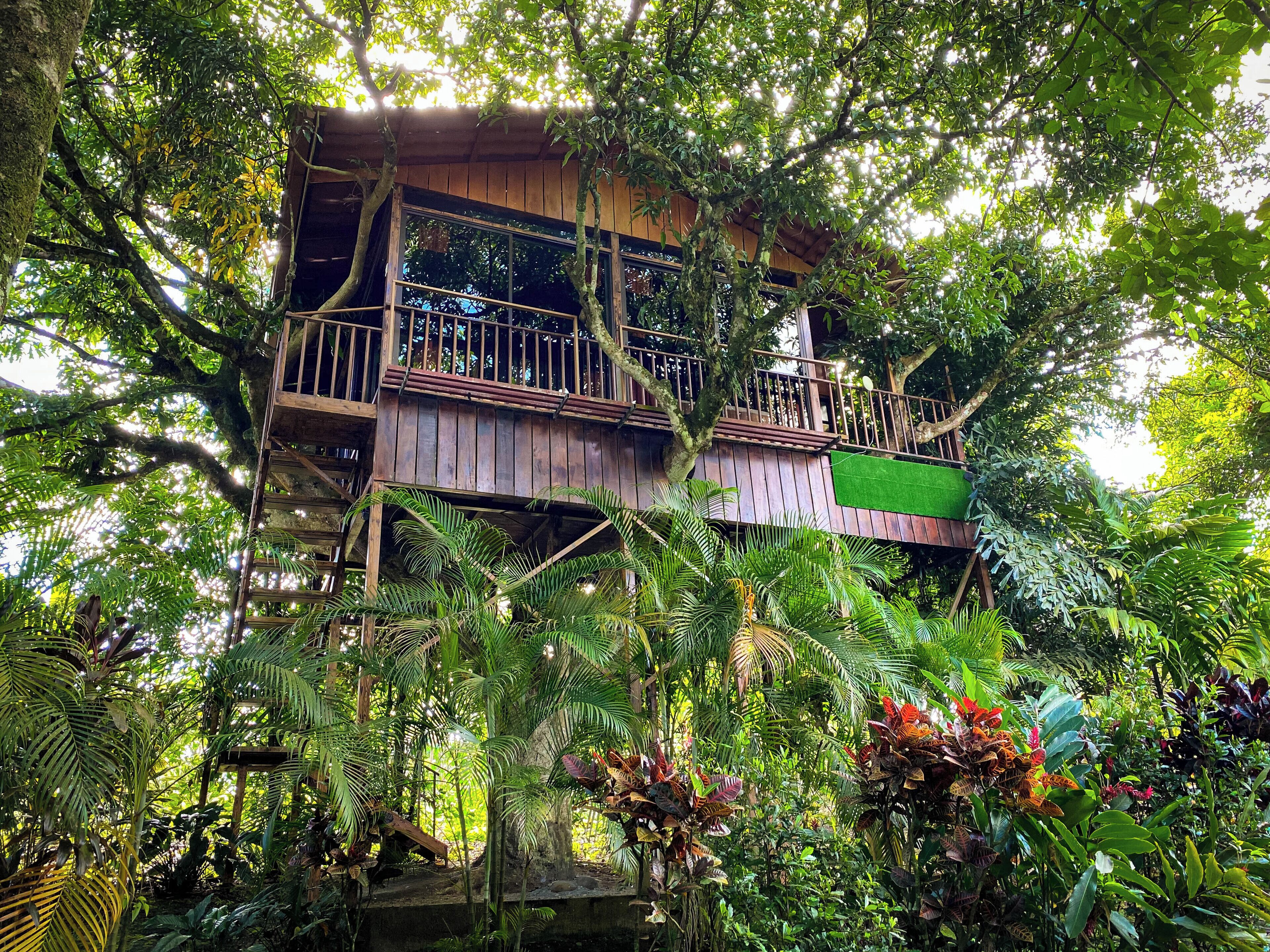 Una casa árbol de madera con balcón, rodeada de exuberante follaje tropical.