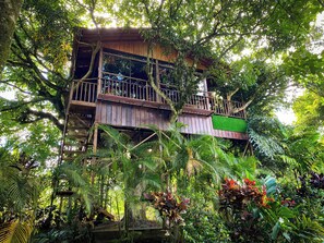 Deluxe Treehouse | Free WiFi, bed sheets, wheelchair access - Hotel Heliconias Nature Inn & Hot Springs (Peñas Blancas)