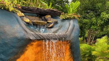 Ein Wasserfall mit Felsvorsprüngen, umgeben von üppiger Vegetation und Pflanzen.