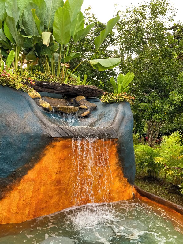 Una cascada con una repisa rocosa, rodeada de exuberante follaje y plantas.