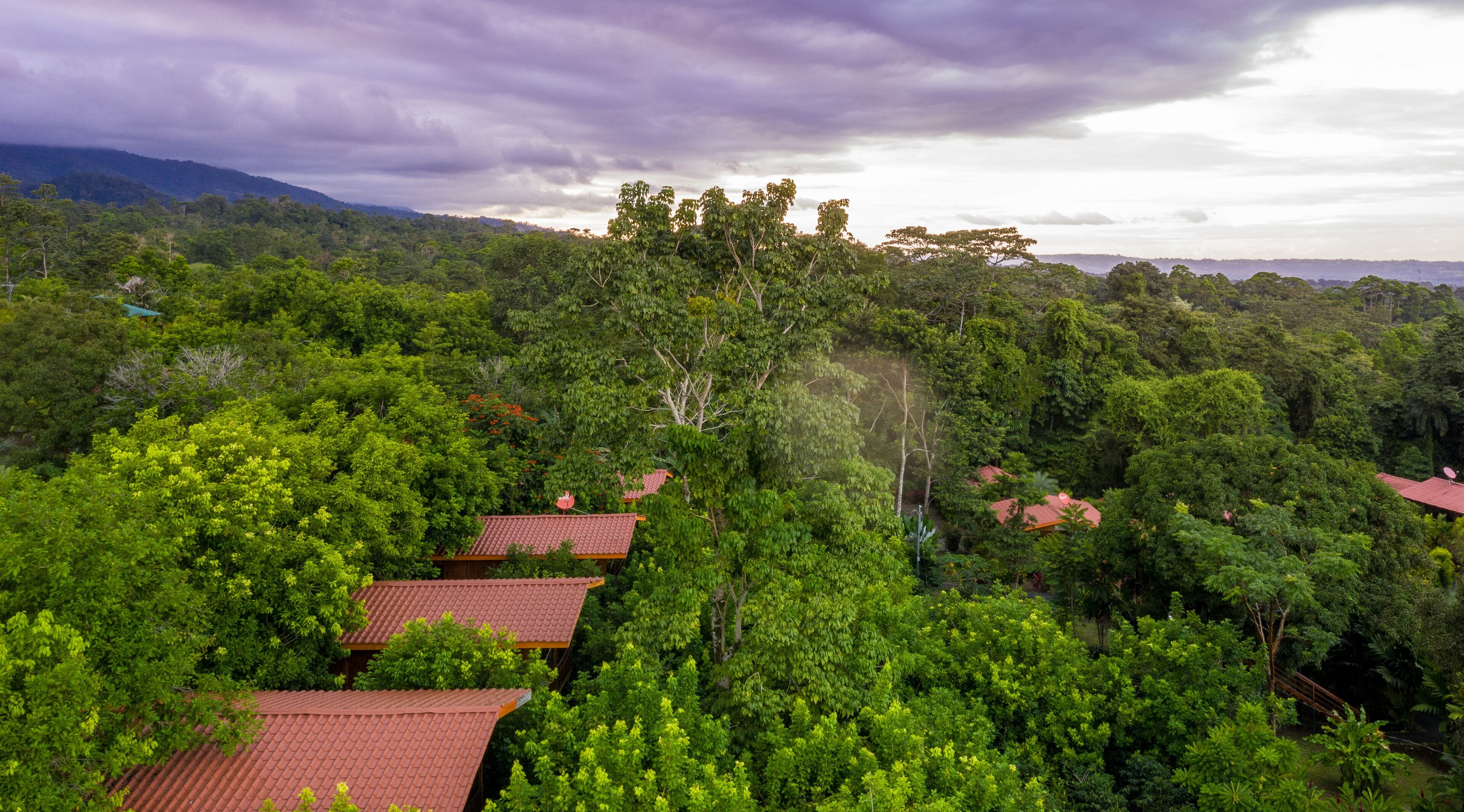 A lush, green landscape with multiple buildings featuring red-tiled roofs nestled among dense foliage.