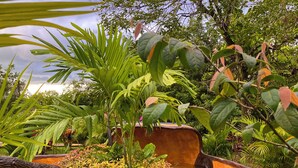 A garden with a water feature, surrounded by various plants and trees. - Hotel Heliconias Nature Inn & Hot Springs (Peñas Blancas)