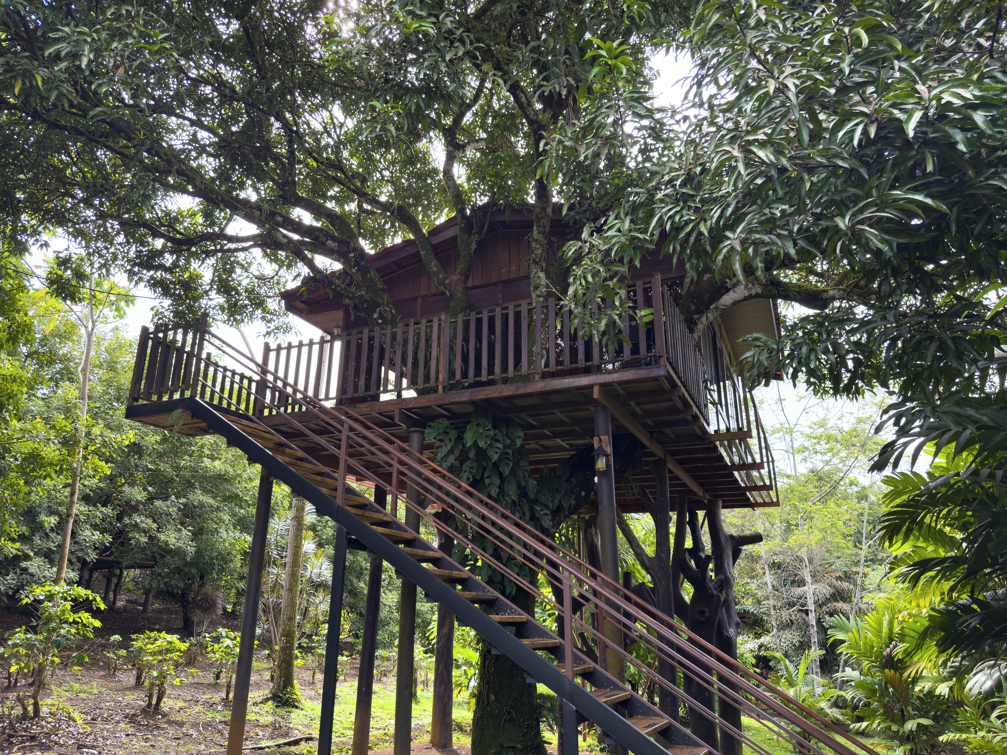 deluxe treehouse | 1 bedroom, free wifi, bed sheets, wheelchair access