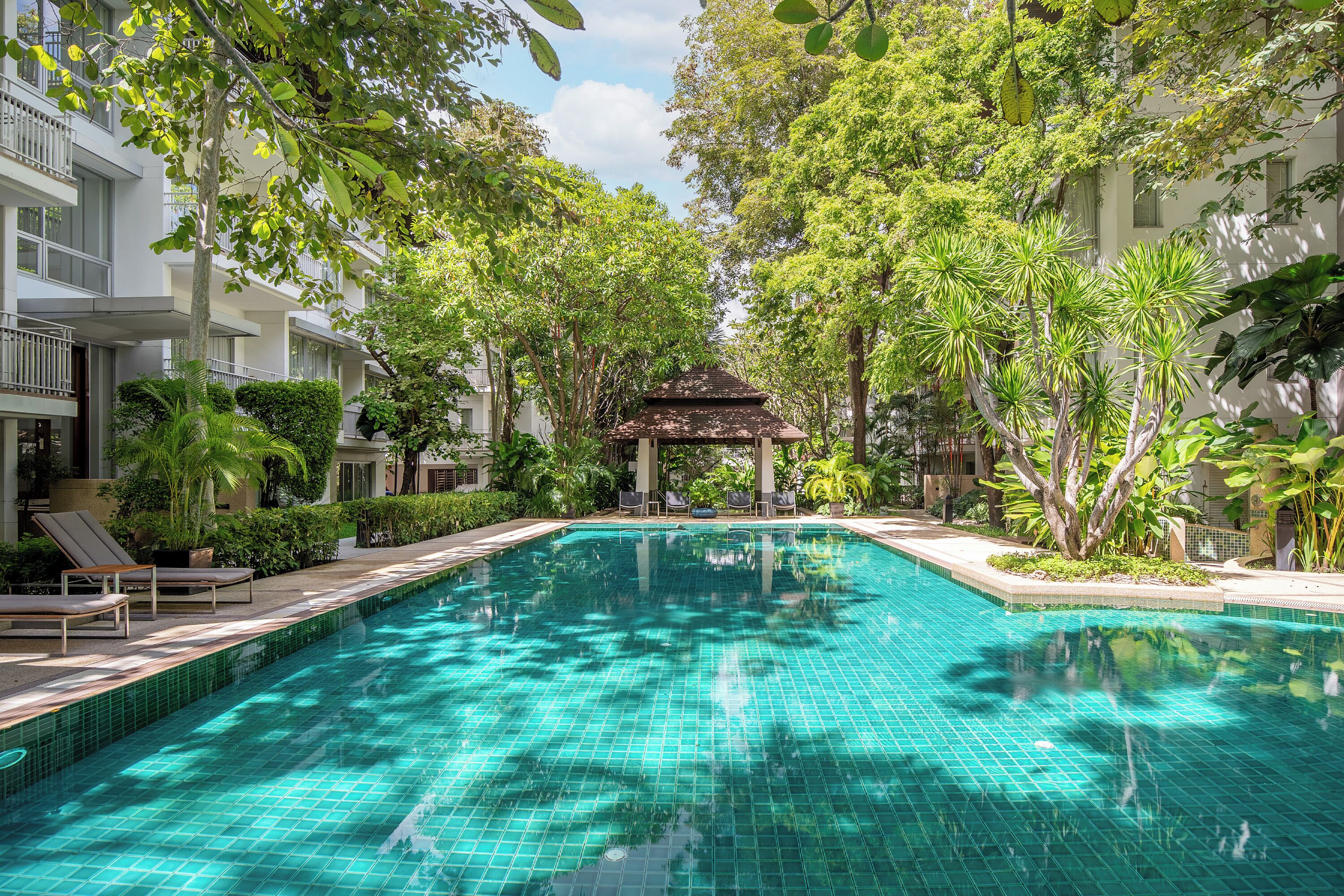 Una piscina al aire libre, sombrillas, sillones reclinables de piscina