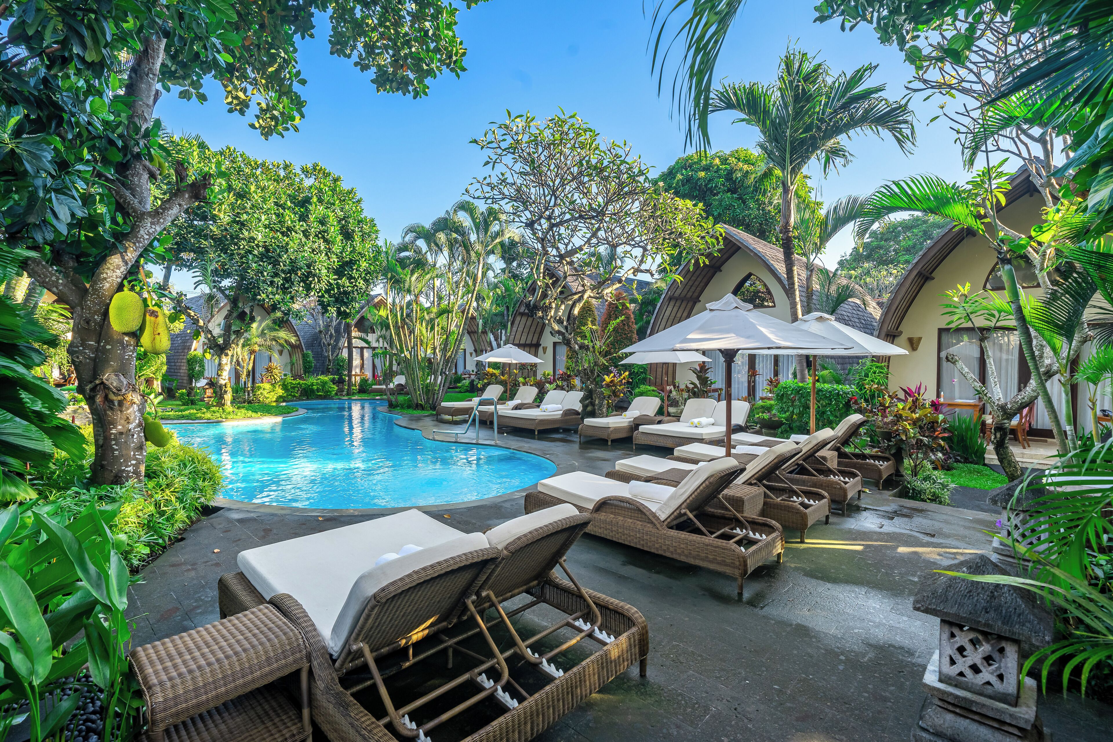 Un área junto a la piscina con sillones de descanso, una piscina y vegetación tropical.