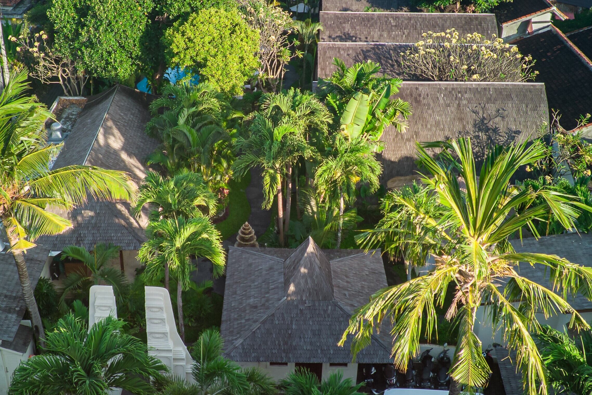 A tropical resort with thatched-roof buildings, palm trees, and a well-maintained garden.