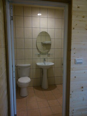 A small bathroom with a toilet, sink, and mirror. - Feng Ya Yue Zhu (Guanxi)