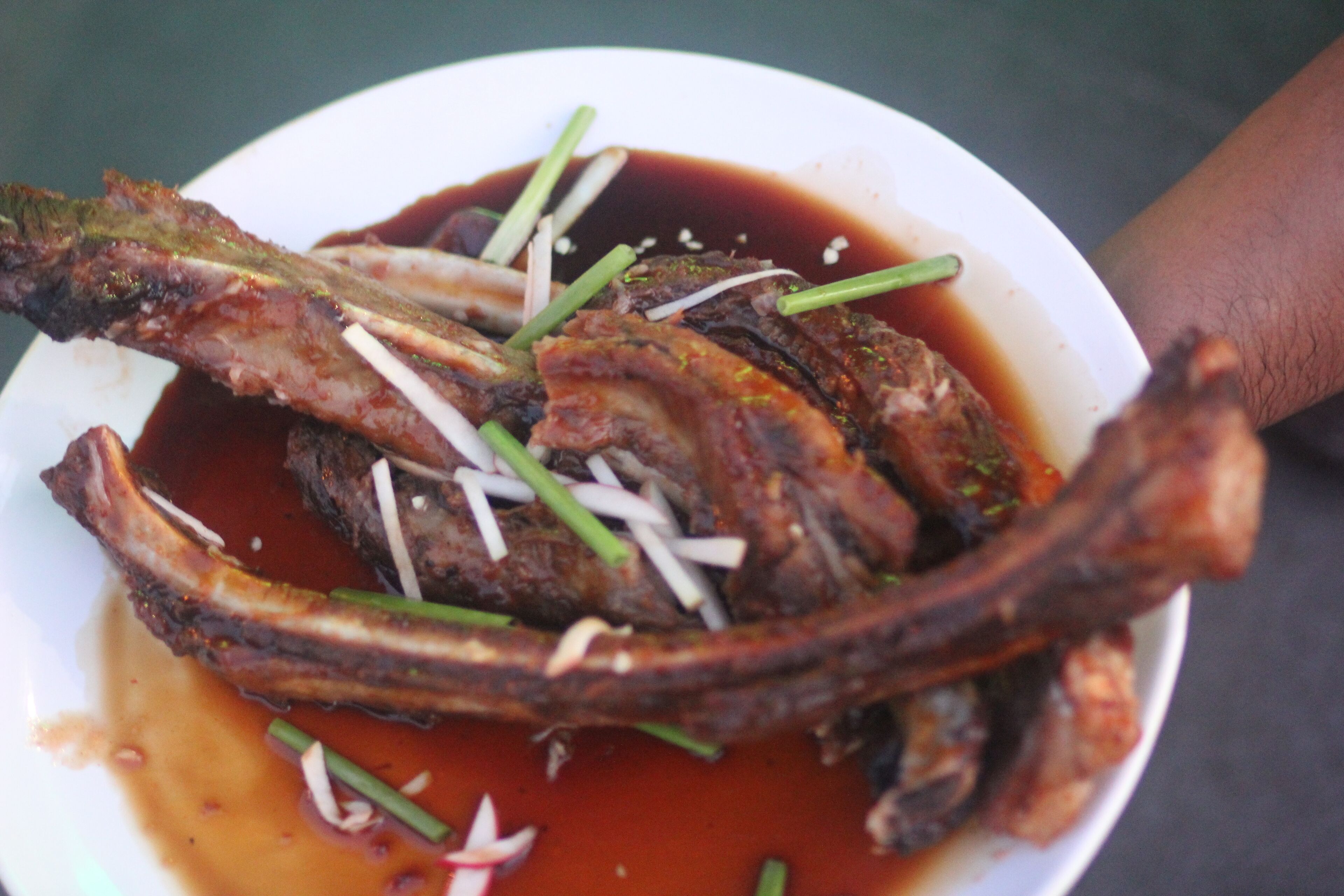 A bowl of grilled meat with a dark sauce and garnished with green onions.