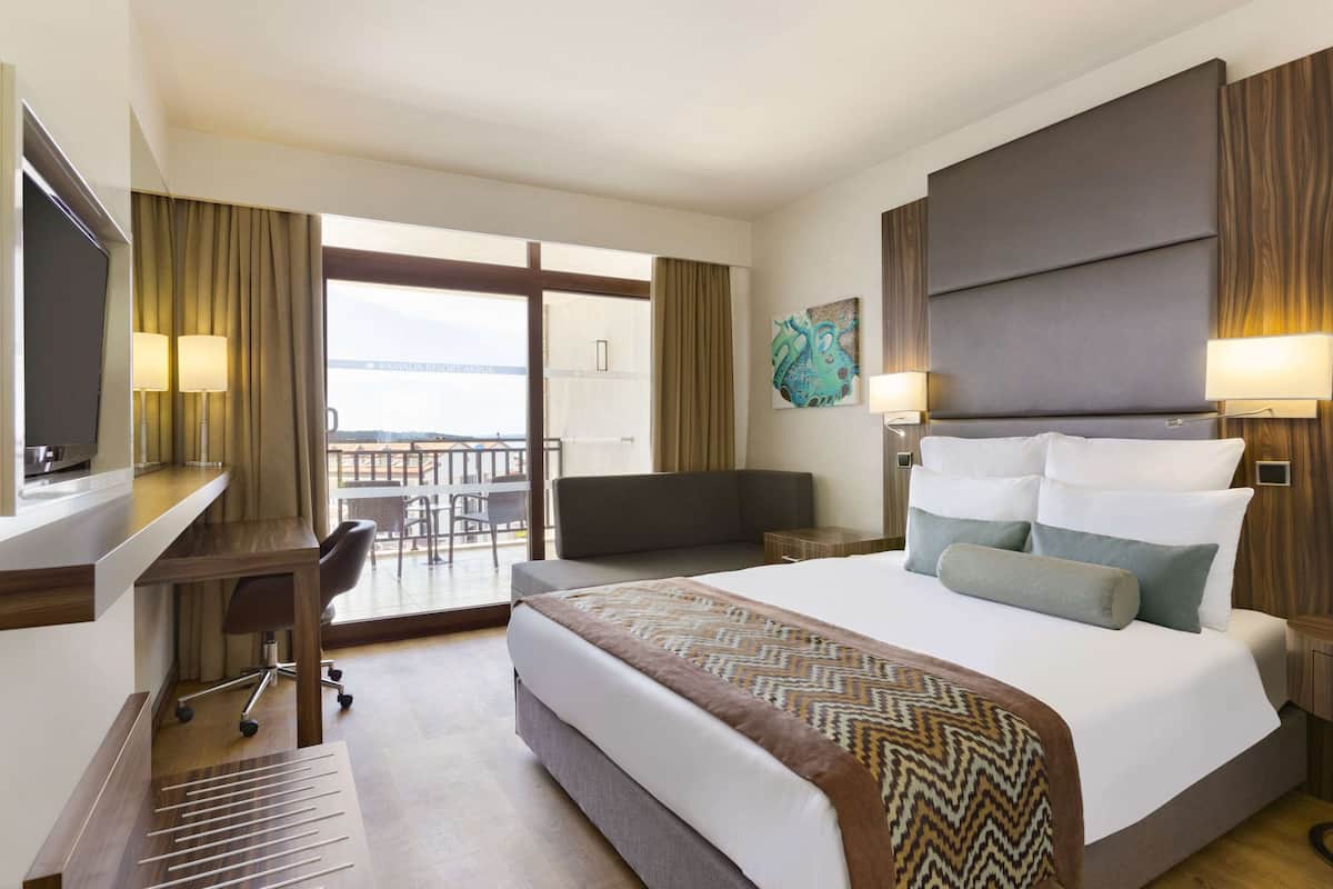 Chambre Standard (Land View) | Minibar, coffre-fort, bureau, accès au Wi-Fi (inclus)