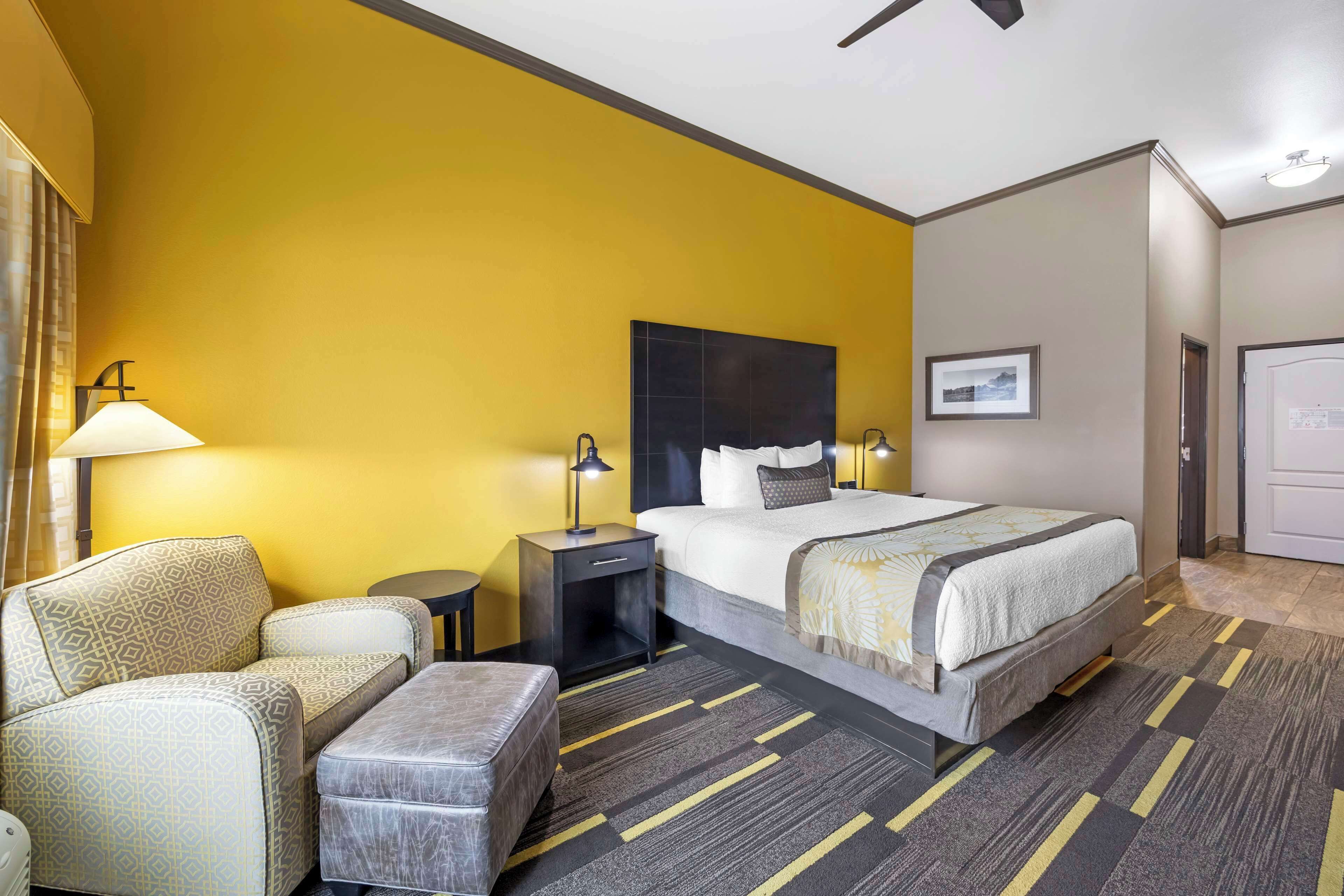 A hotel room with a bed, a sofa, a nightstand, a lamp, and a carpeted floor.