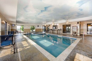 Indoor pool, sun loungers