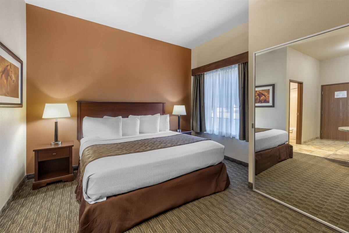 Standard Room, 1 King Bed, Non Smoking, Kitchenette | Desk, laptop workspace, blackout drapes, iron/ironing board