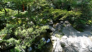 A traditional Japanese garden with a small pond, rocks, and various plants. - Gion Ryokan Q-beh - Hostel (Kyoto)