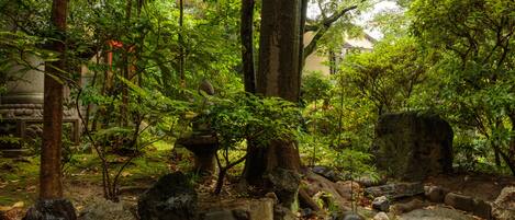 Japanese-Style Family Room ( Garden View ) with Shared Bathroom | Garden view