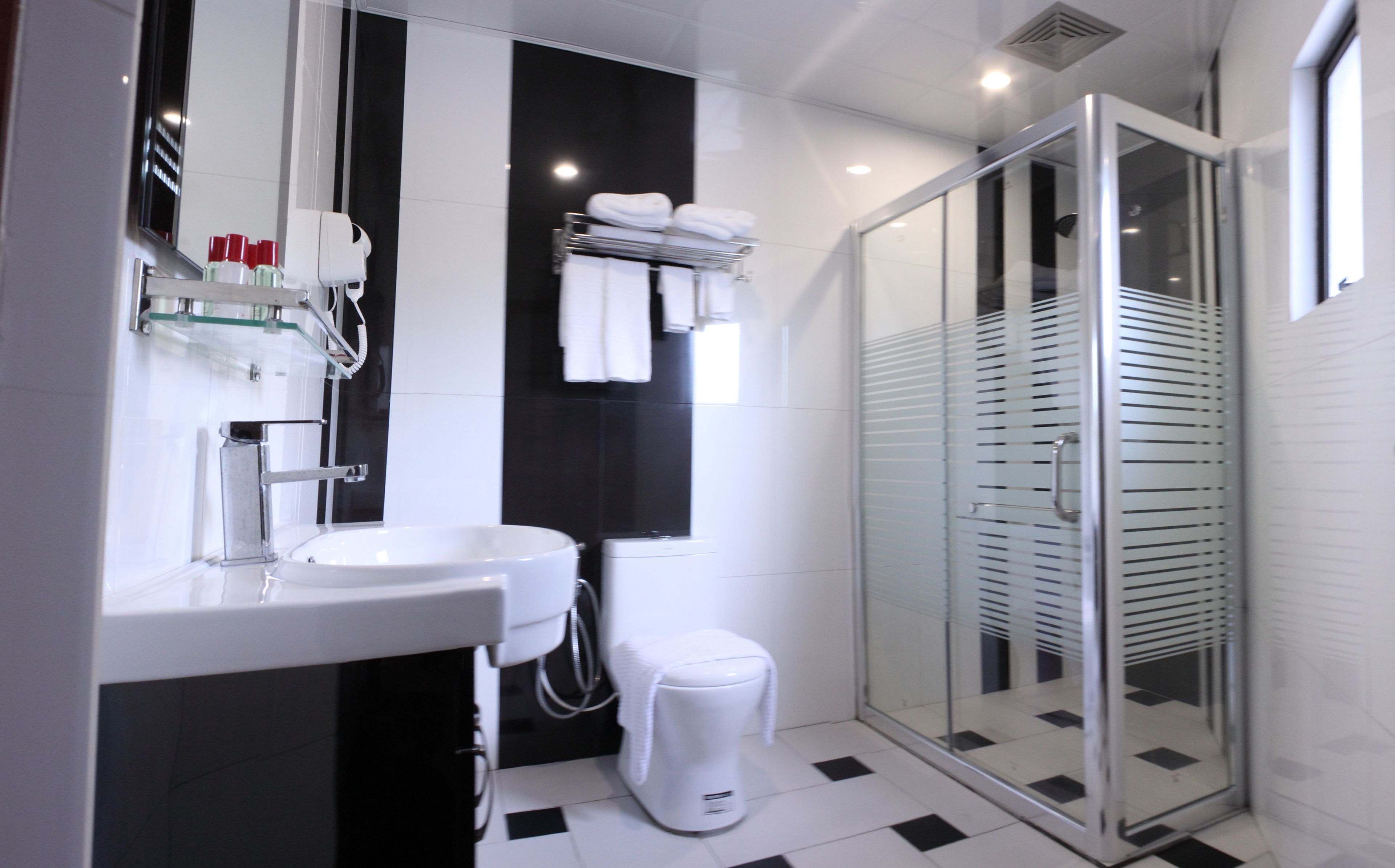 shower, hair dryer, slippers, bidet