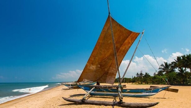 A traditional sailboat on a sandy beach with palm trees and a clear blue sky in the background. - Ocean View Guesthouse (Negombo)