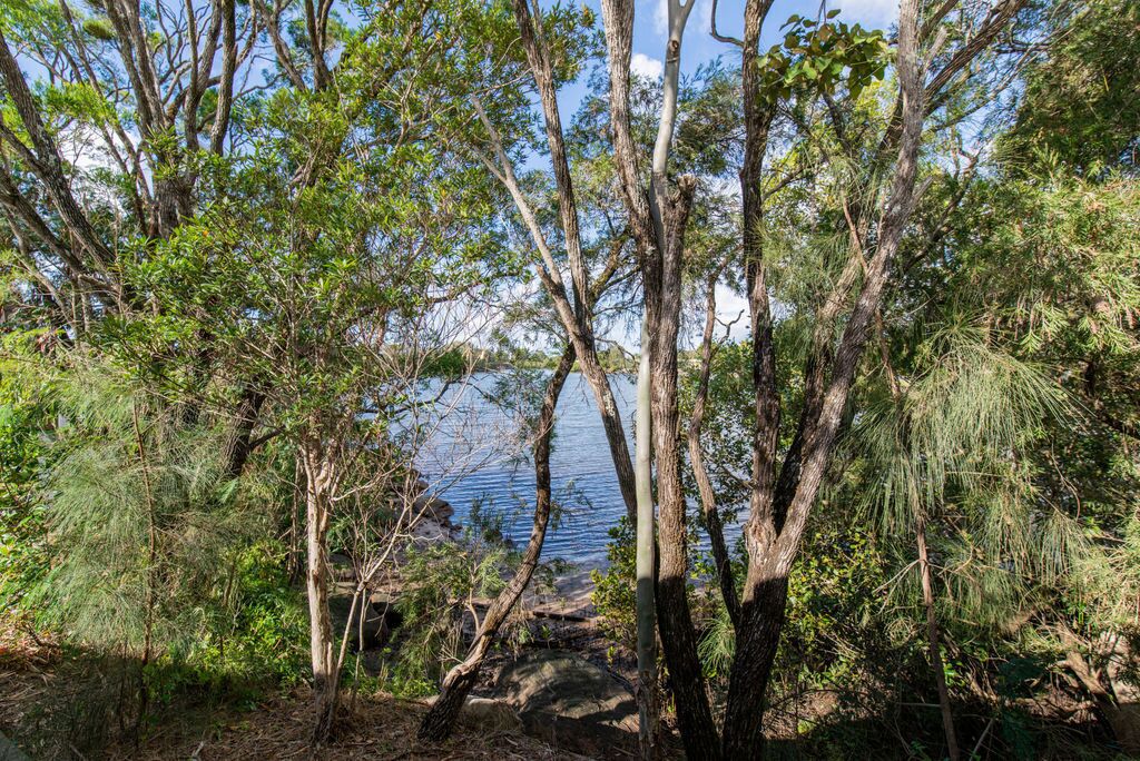 Un paysage naturel composé d’arbres et d’une étendue d’eau.