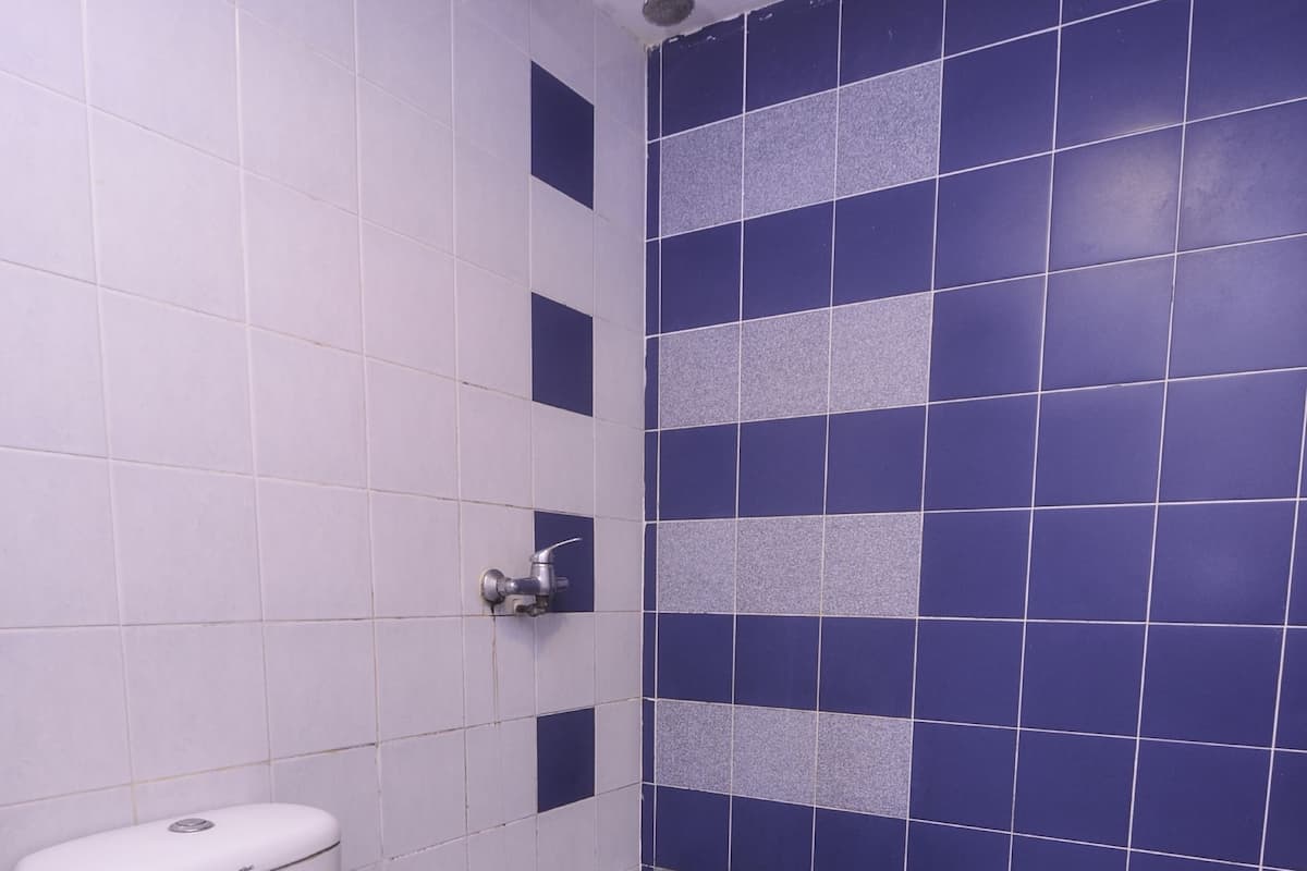 Suite supérieure | Salle de bain | Douche, bidet, serviettes fournies