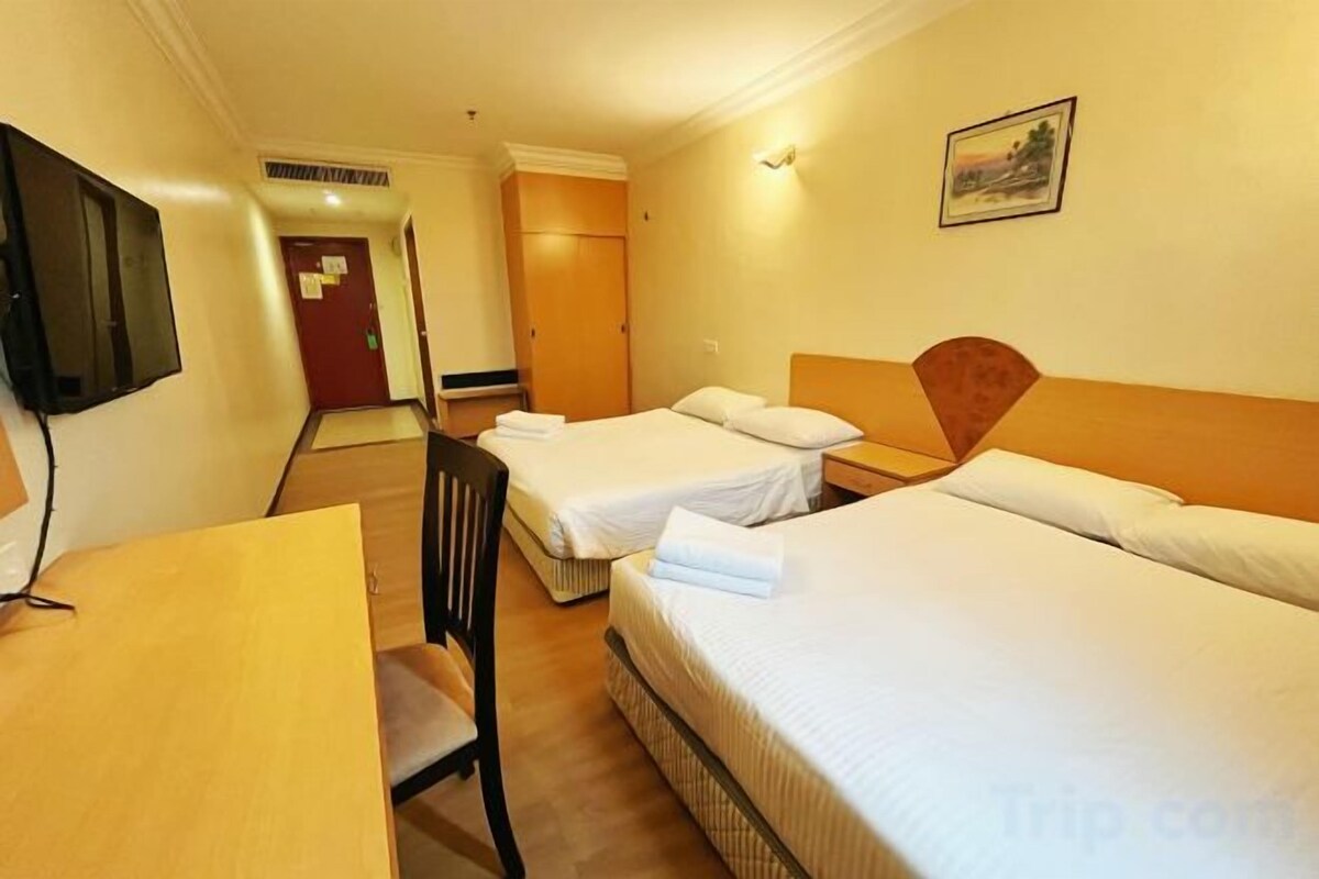 Desk, laptop workspace, iron/ironing board (on request), rollaway beds