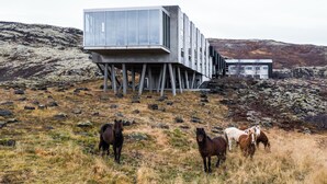 A modern building with a glass facade and a unique elevated structure, surrounded by a grassy landscape with horses.