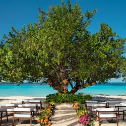 Outdoor wedding area