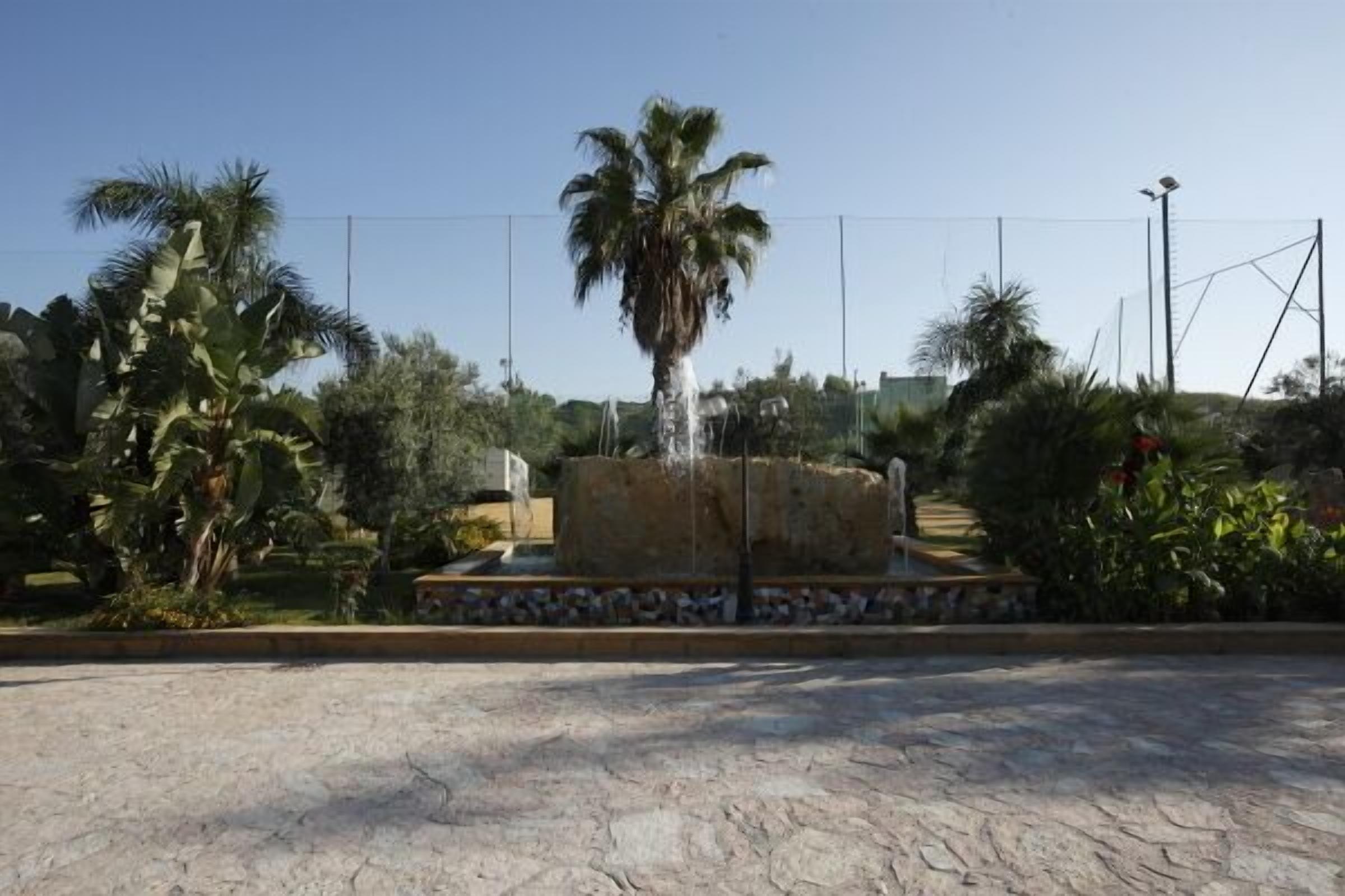 Une fontaine en pierre avec un palmier au centre, entourée de verdure et sous un ciel dégagé.
