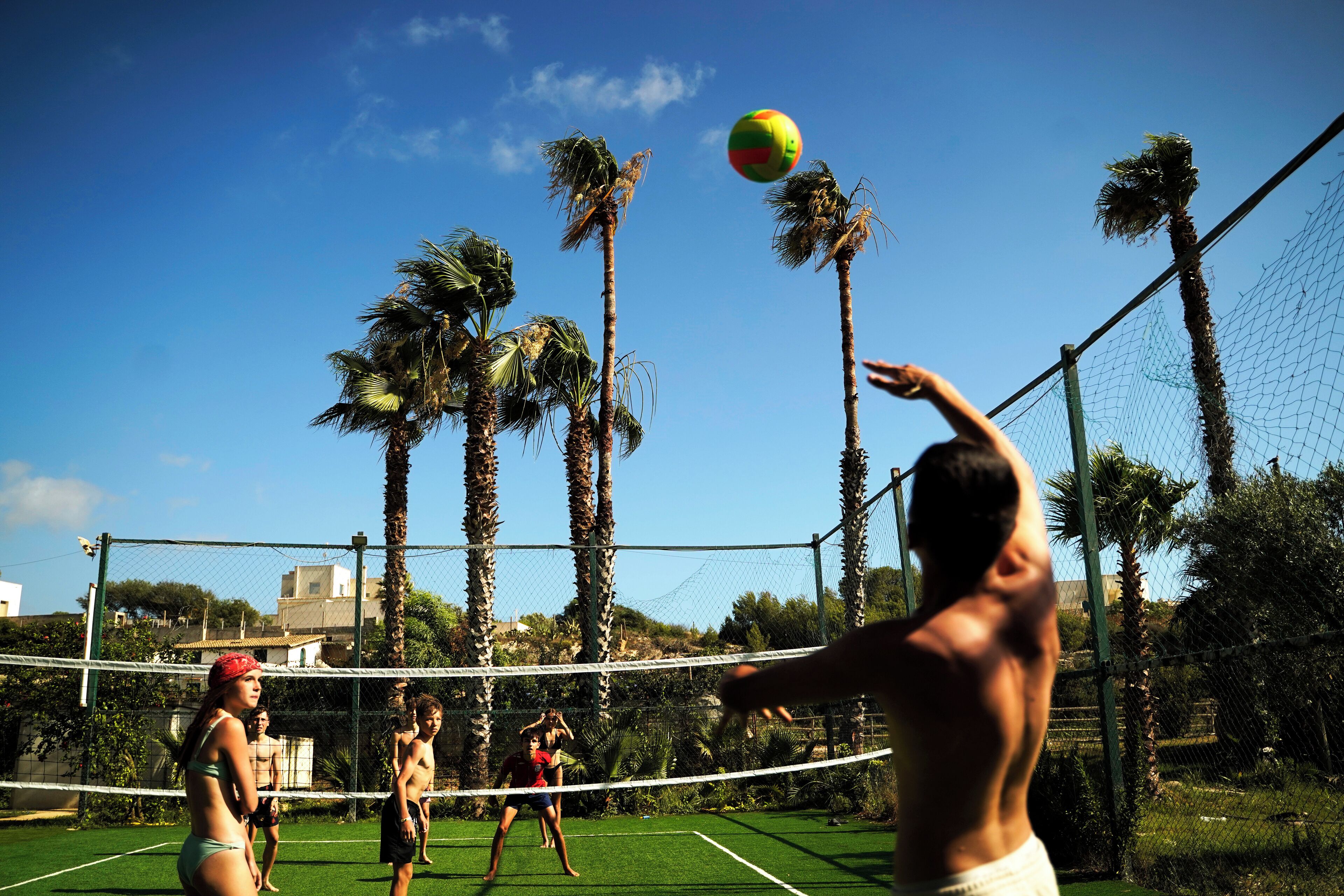 A beach volleyball court with a net, palm trees, and a clear sky.