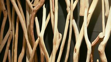 Cabin (Tent, Mongolia Style) | View from room