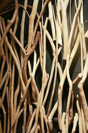 Un conjunto de ramas de madera natural y sin tratar.